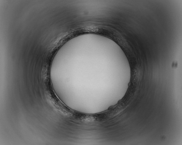 X0000115240600200911201622