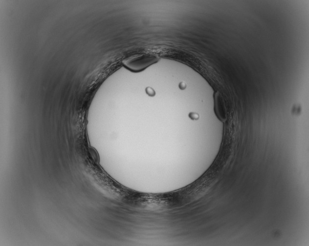 X0000115240601200911201622