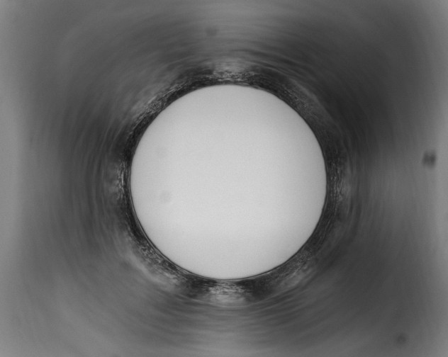 X0000115240603200911201622