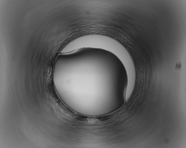 X0000115240605200911201622
