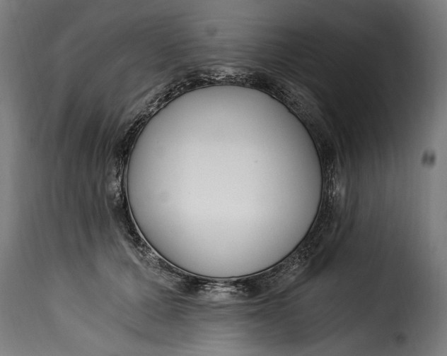 X0000115240607200911201622