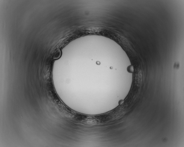 X0000115240608200911201622