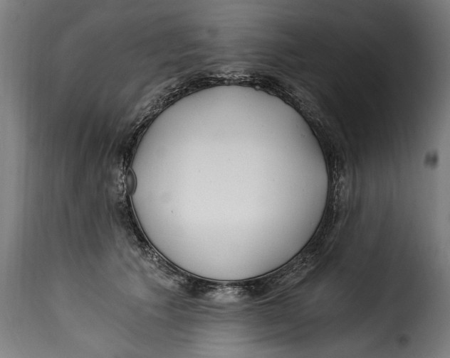 X0000115240609200911201622