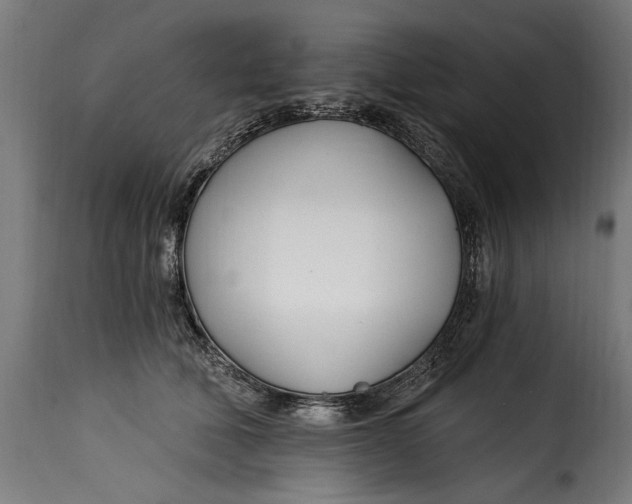X0000115240610200911201622