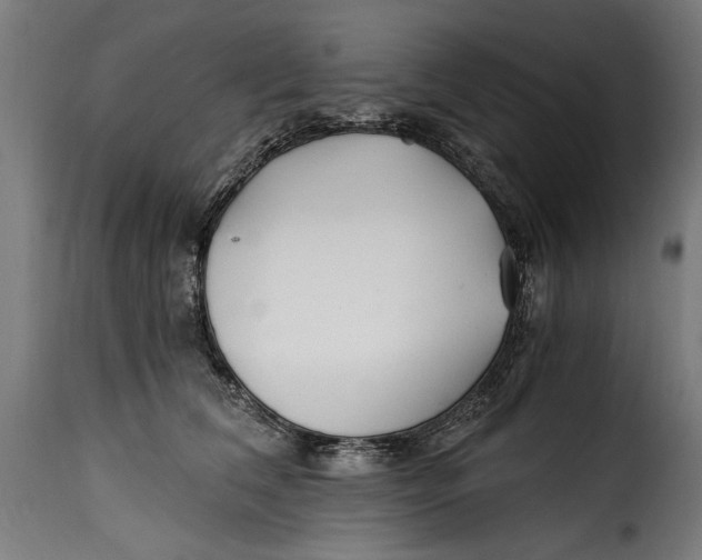 X0000115240612200911201622