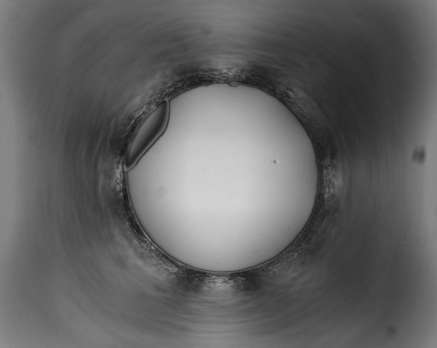 X0000115240613200911201622