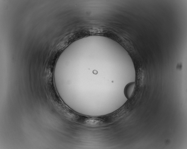 X0000115240614200911201622