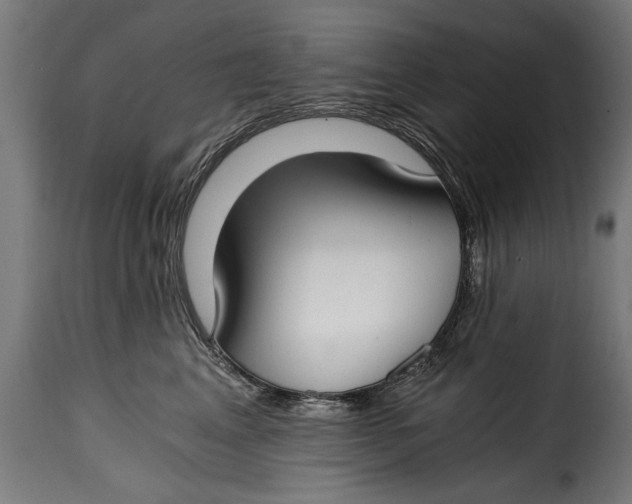 X0000115240617200911201622