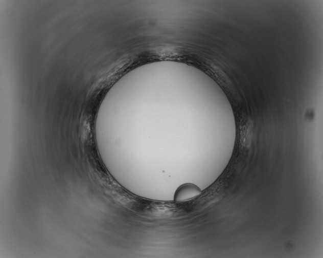 X0000115240618200911201622