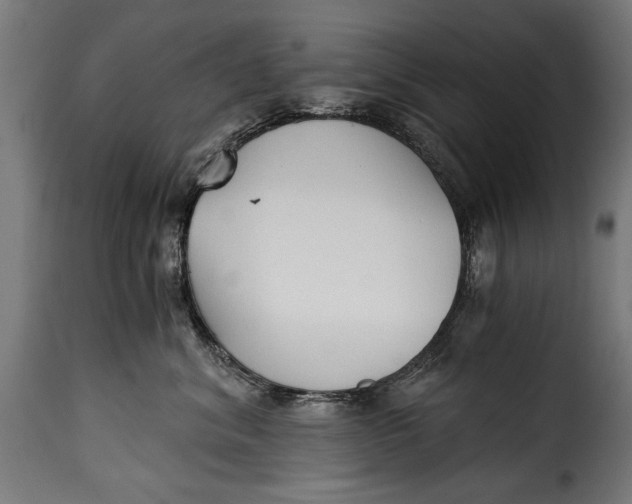 X0000115240620200911201622