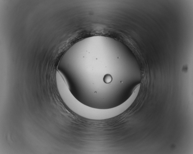 X0000115240621200911201622
