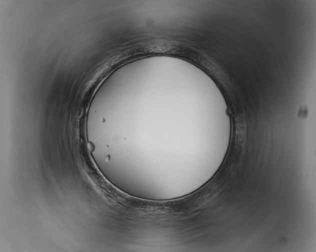 X0000115240626200911201621