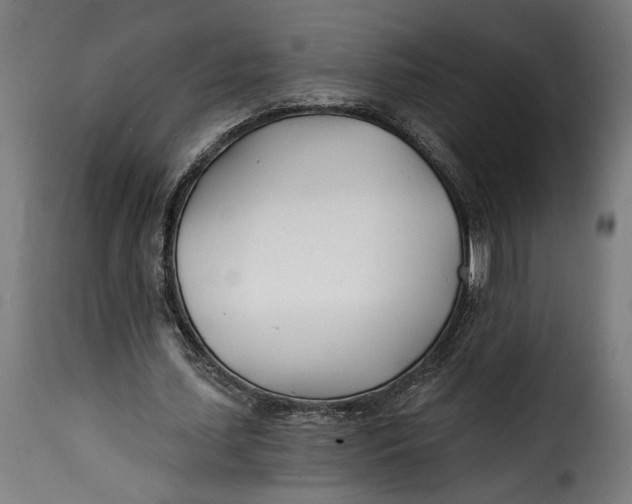 X0000115240627200911201621