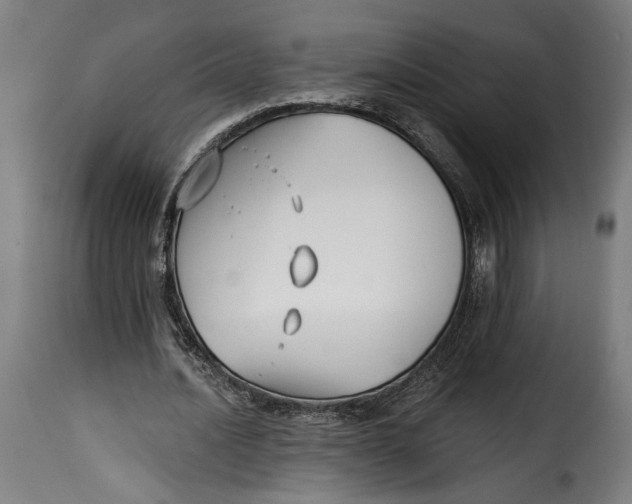 X0000115240628200911201621