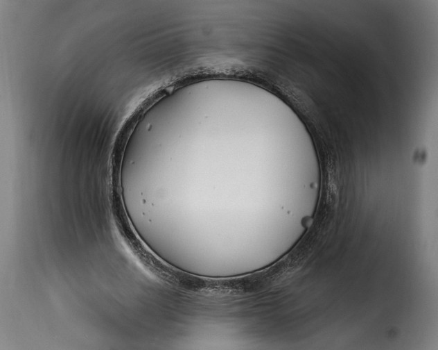 X0000115240630200911201621