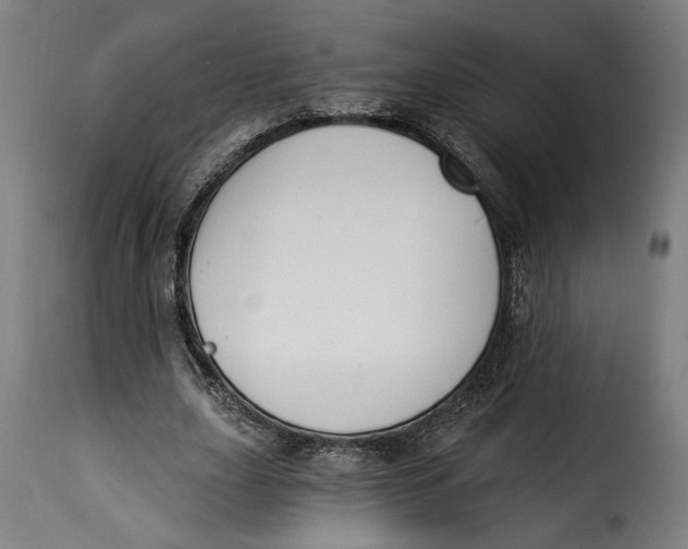 X0000115240631200911201621
