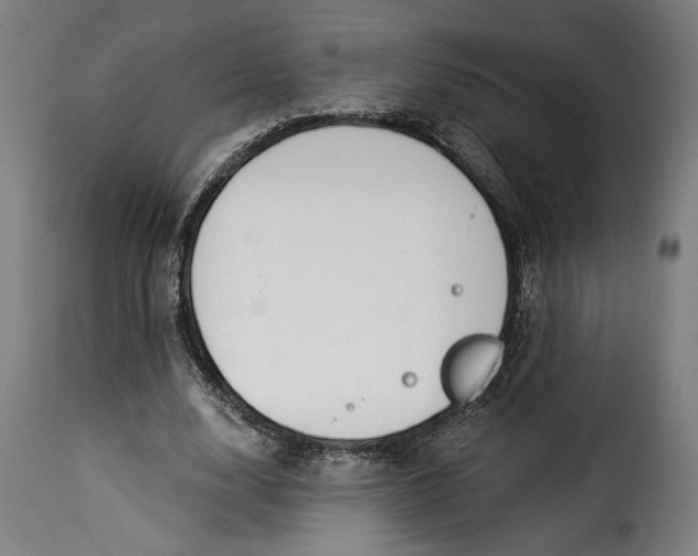 X0000115240632200911201621