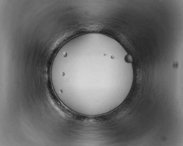 X0000115240634200911201621