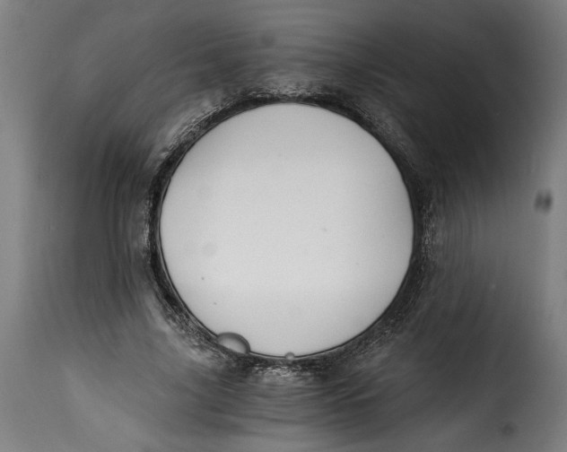 X0000115240635200911201621
