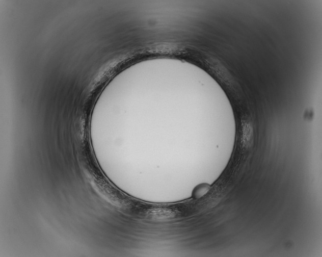 X0000115240636200911201621