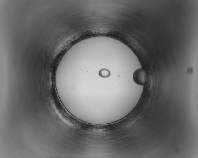 X0000115240638200911201621