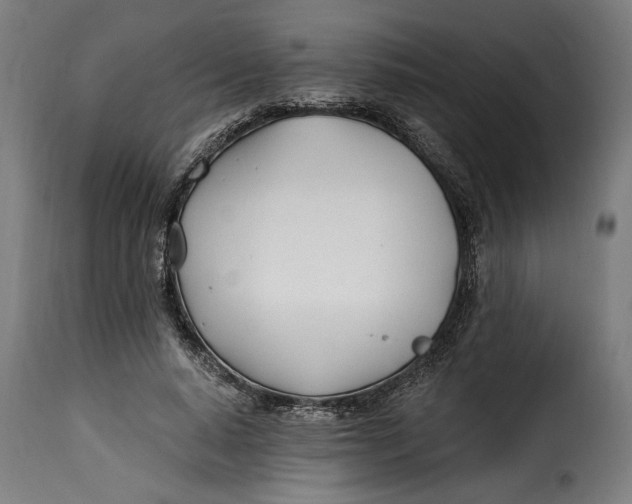 X0000115240640200911201621