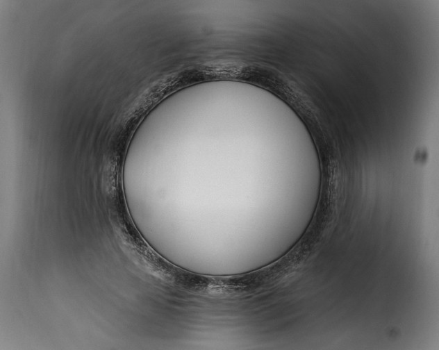 X0000115240641200911201621