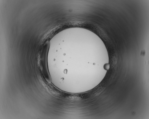 X0000115240644200911201621