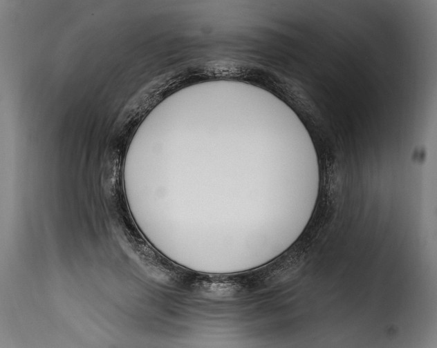 X0000115240645200911201621