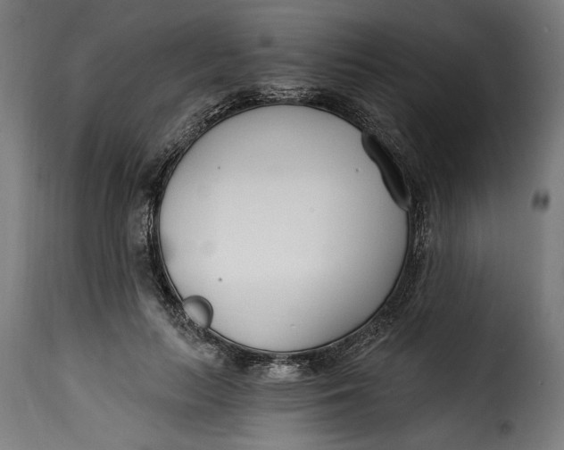 X0000115240647200911201621