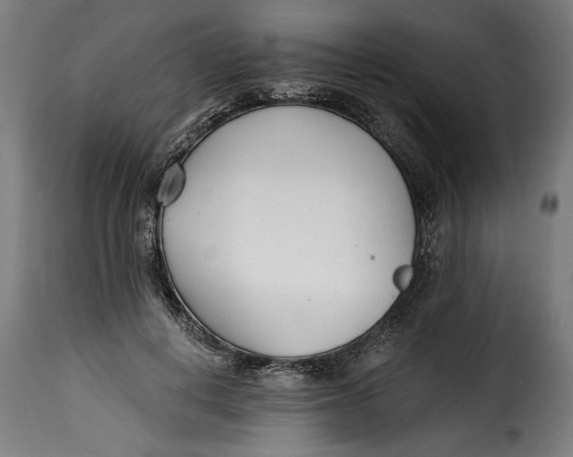 X0000115240648200911201621