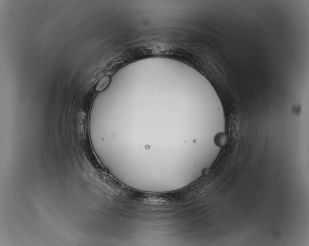 X0000115240650200911201621