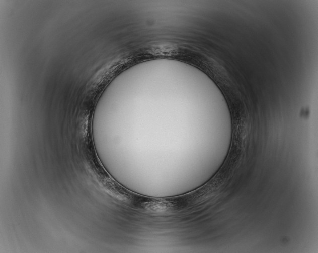 X0000115240652200911201621