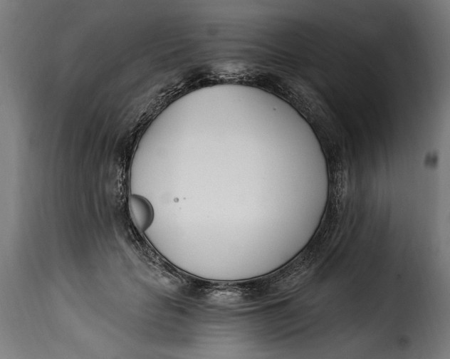 X0000115240653200911201621
