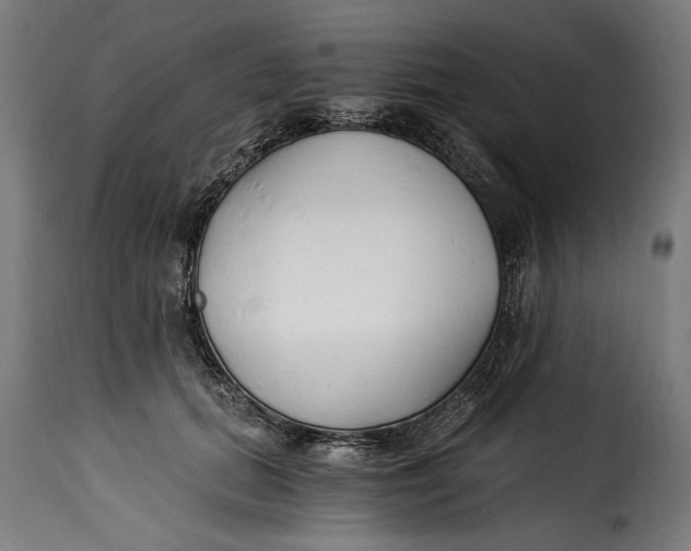 X0000115240655200911201621