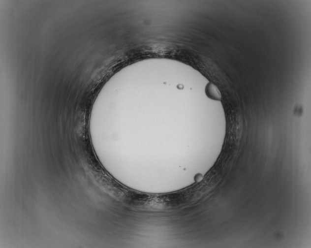 X0000115240656200911201621