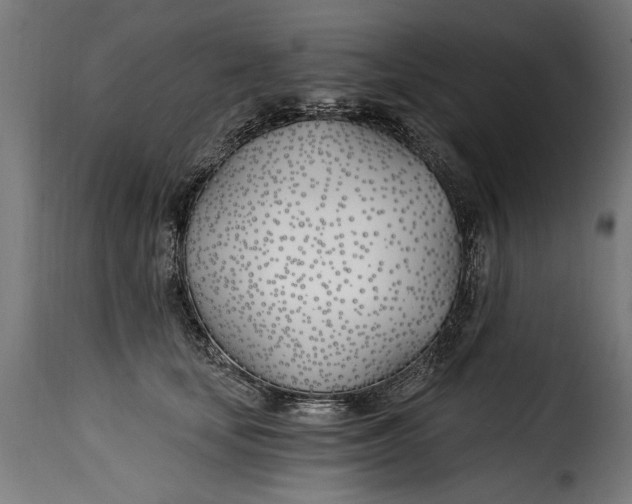 X0000115240659200911201621