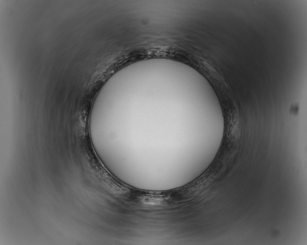 X0000115240661200911201621