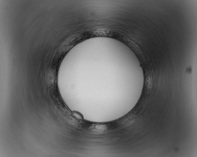 X0000115240665200911201621