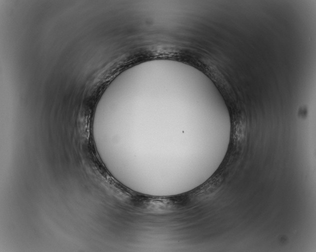 X0000115240666200911201621