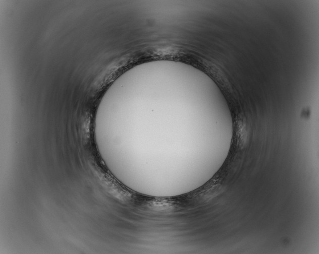 X0000115240668200911201621