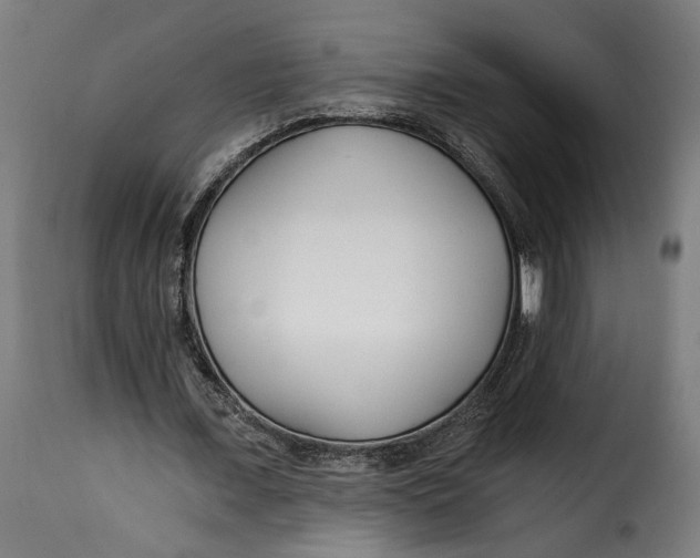 X0000115240675200911201621