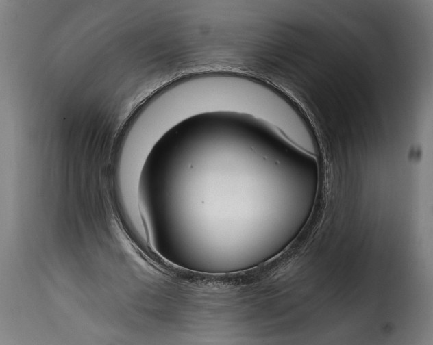 X0000115240677200911201621