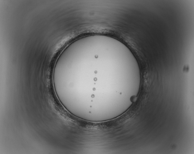 X0000115240679200911201621