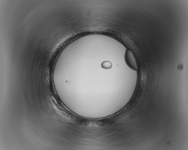 X0000115240684200911201621