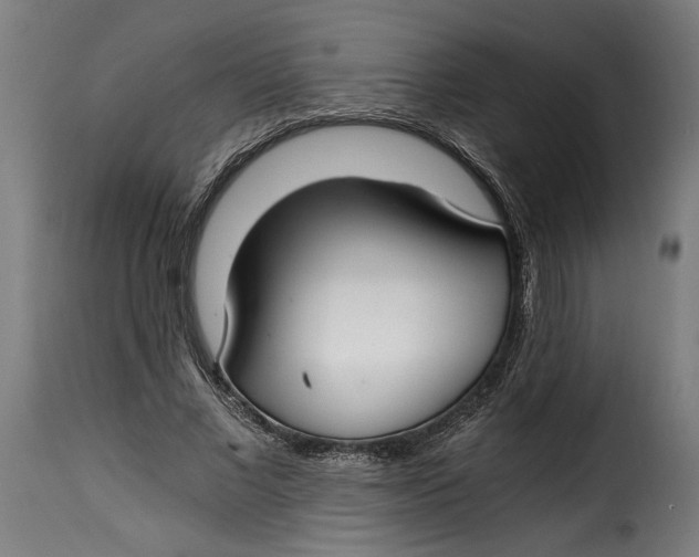 X0000115240685200911201621