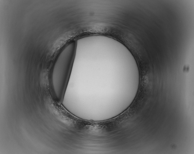 X0000115240688200911201621