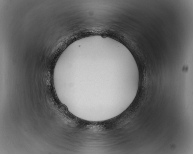 X0000115240689200911201621