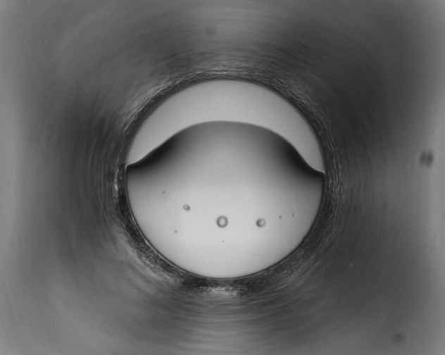 X0000115240692200911201621