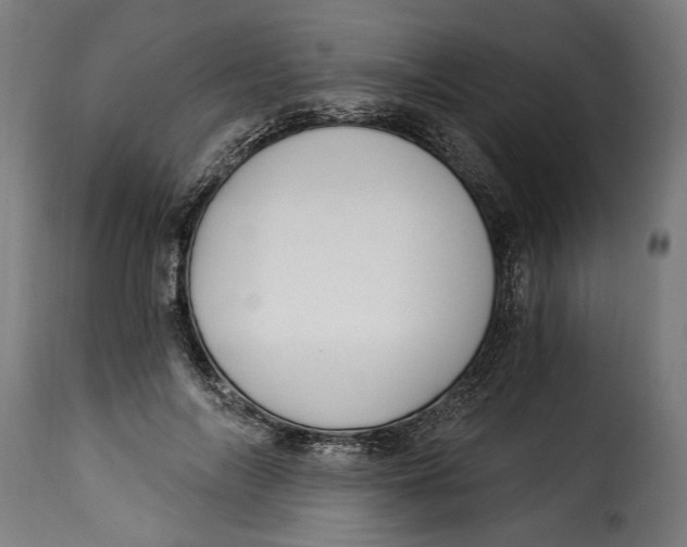 X0000115240694200911201621